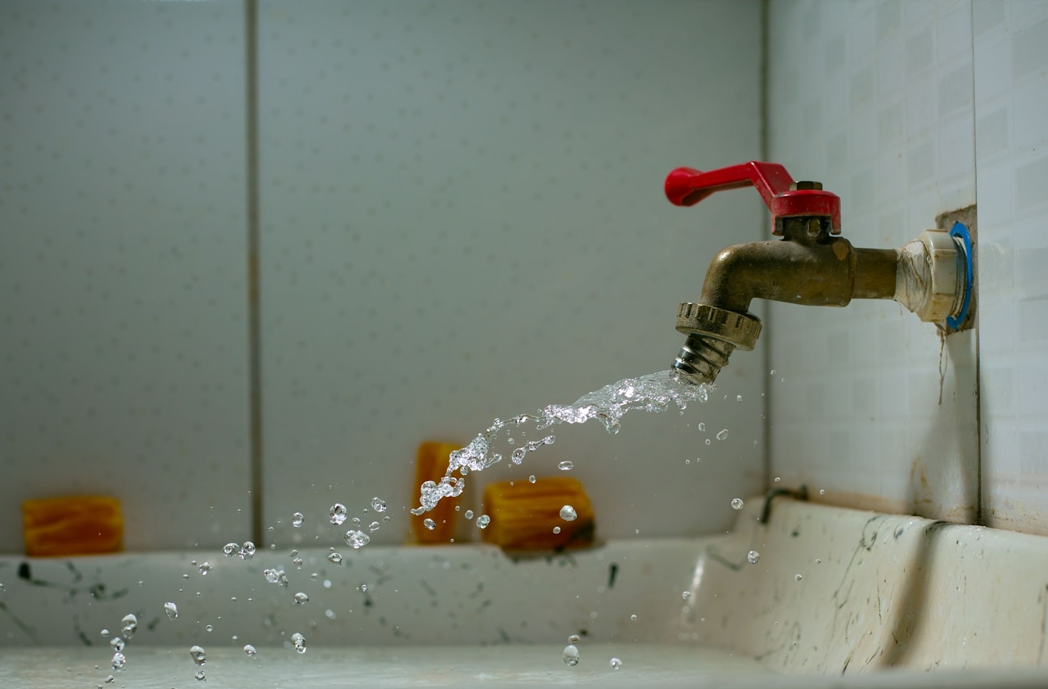 Your Go-To Guide for Plumbing Services in Austin